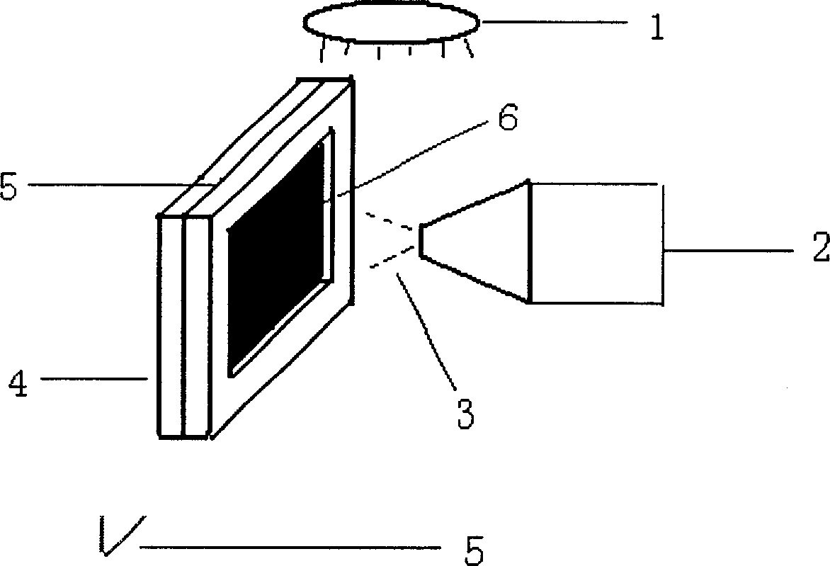 Direct spraying method for preparing fuel cell membrane electrode