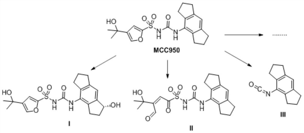 NLRP3 inflammasome inhibitor and preparation method and application thereof