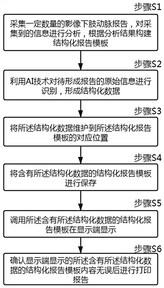 Image lower limb artery structured report writing design method and system