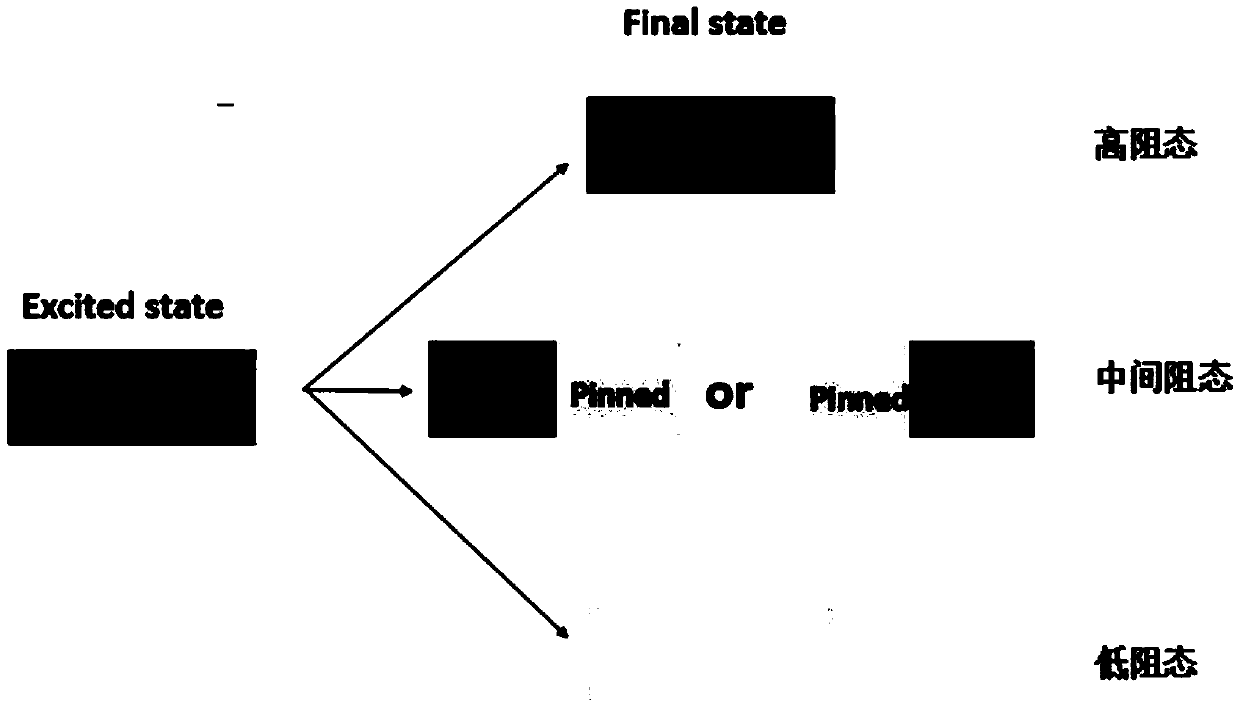 Disclosed is a polymorphic true random number generator based on electron spin