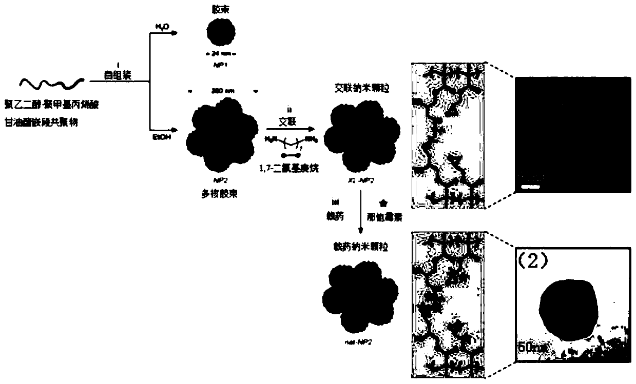 Natamycin polymer micelle eye drop and preparation method thereof