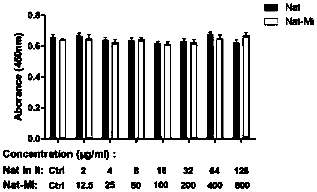 Natamycin polymer micelle eye drop and preparation method thereof