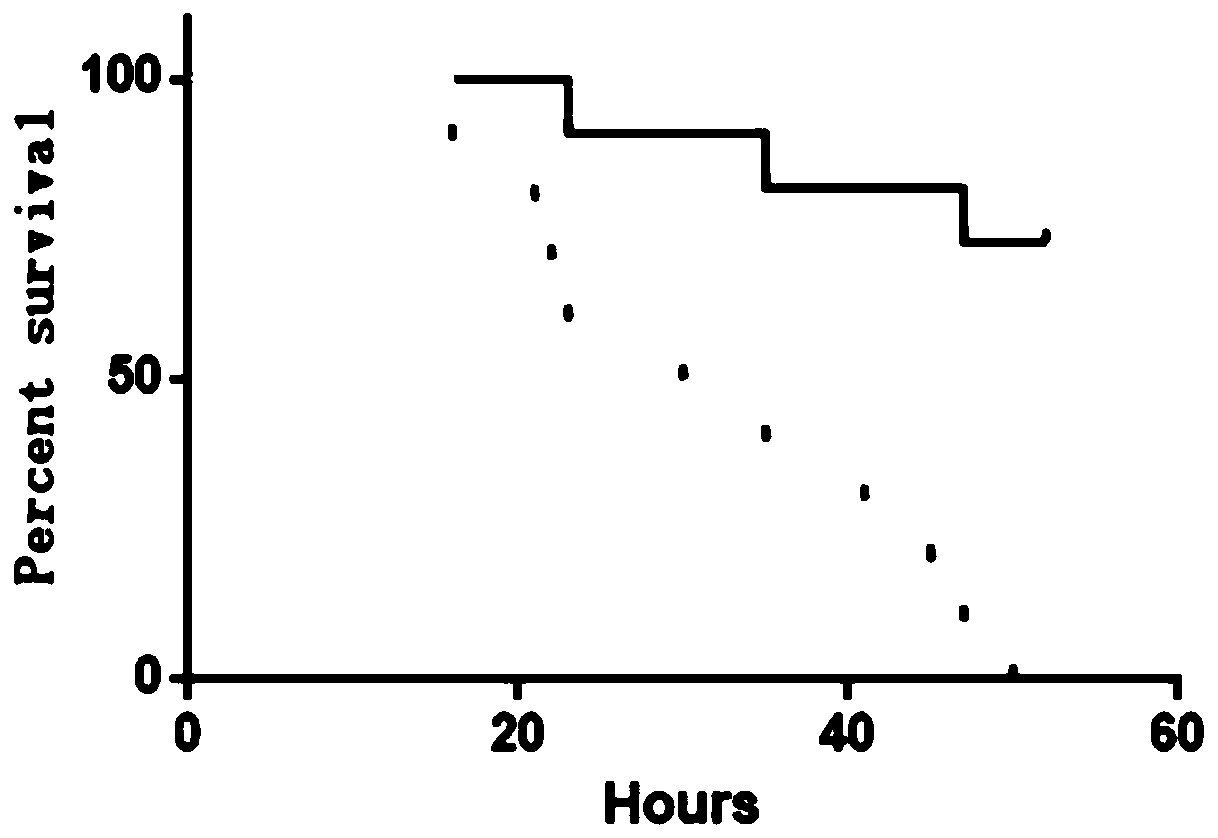 Application of PGC-1 alpha activating agent in preparation of drug for treating sepsis