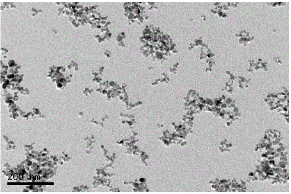 Chitosan-coated magnetic mesoporous silica core-shell structure nano-particle and preparation method and application thereof