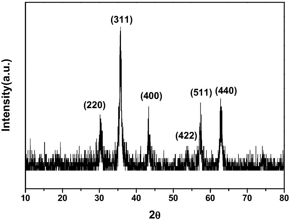 Chitosan-coated magnetic mesoporous silica core-shell structure nano-particle and preparation method and application thereof