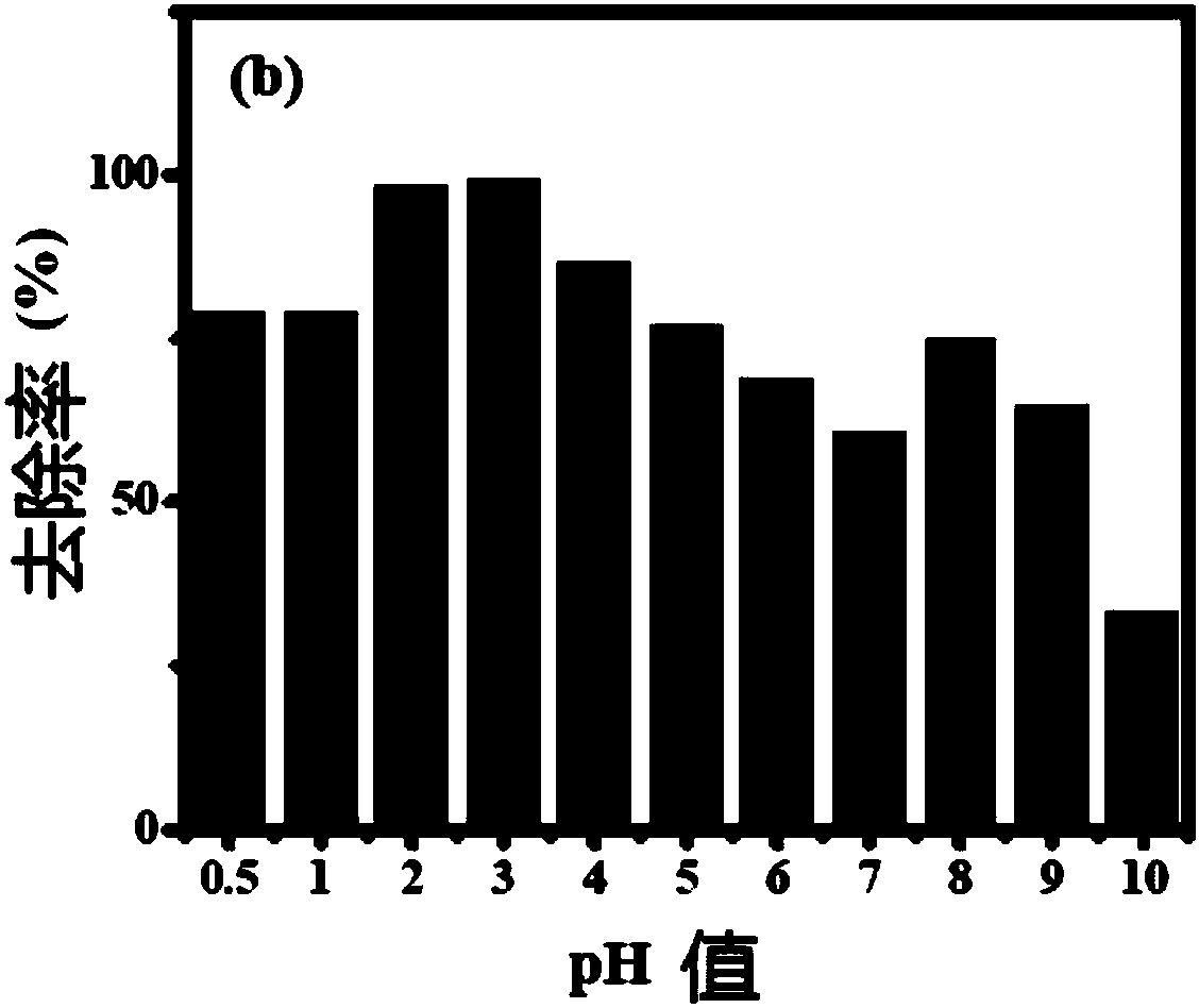 Fe-N compound doped carrier catalyst, preparation method and application