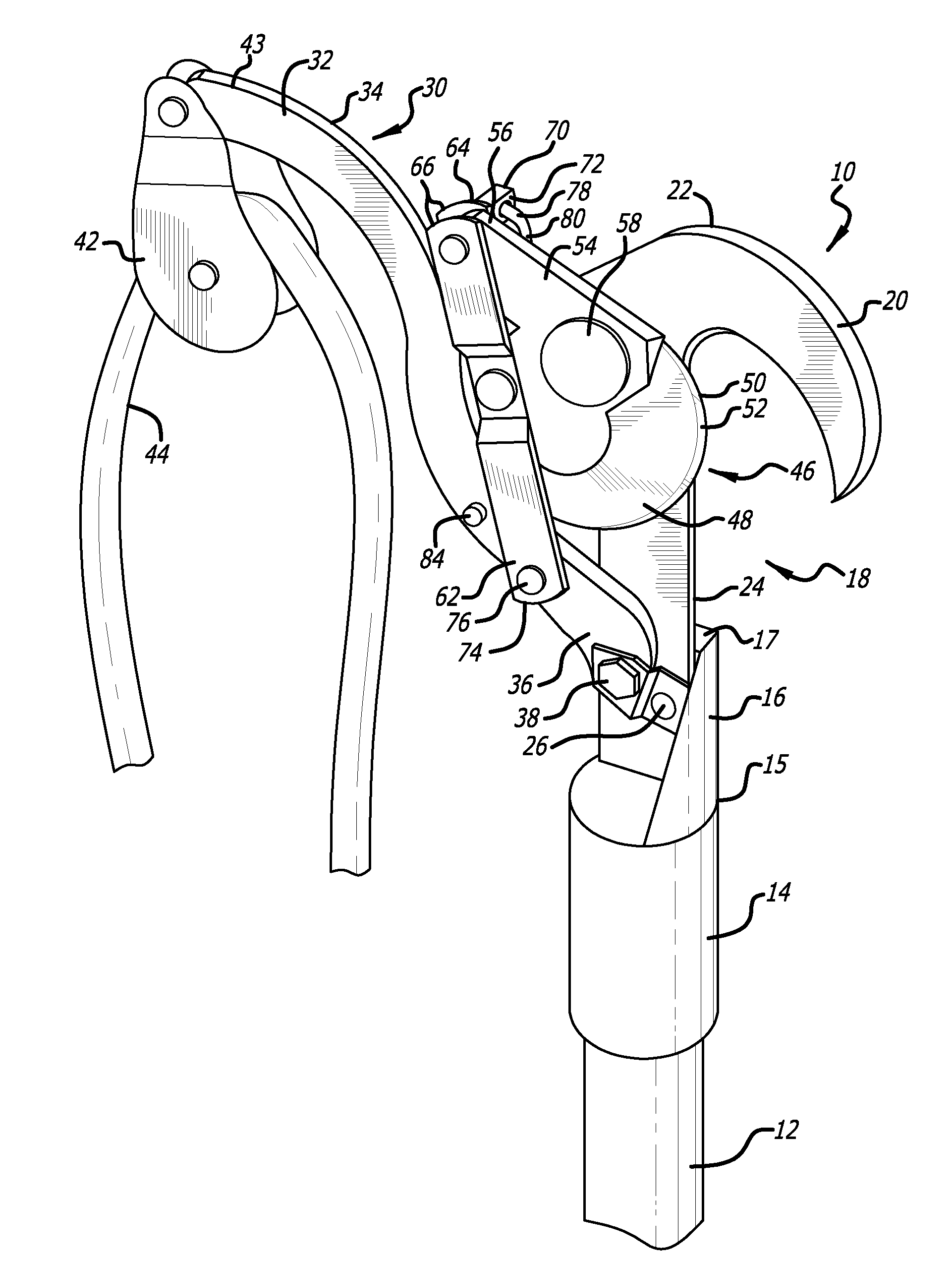 Tree timming apparatus