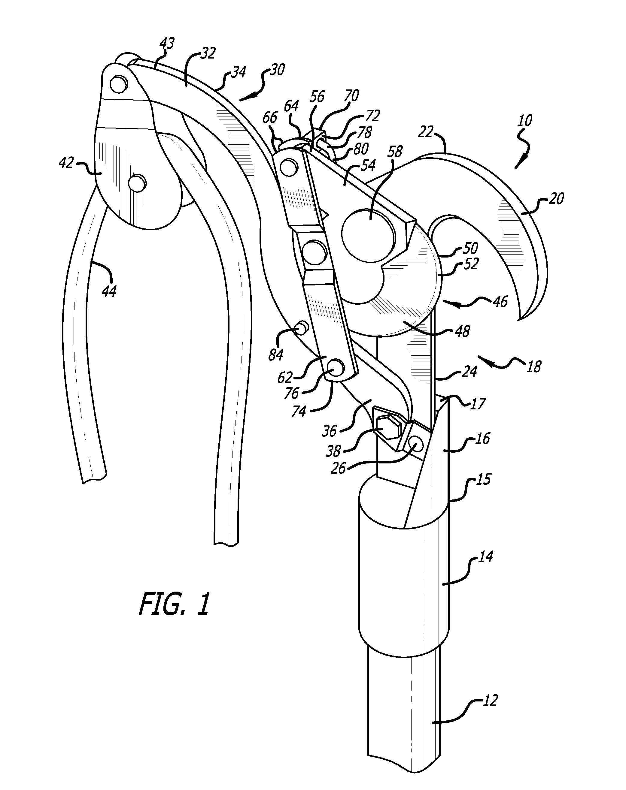 Tree timming apparatus