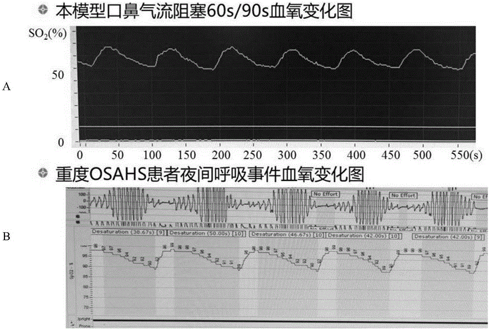 Modeling device for mouse with OSAHS (obstructive sleep apnea hypopnea syndrome)