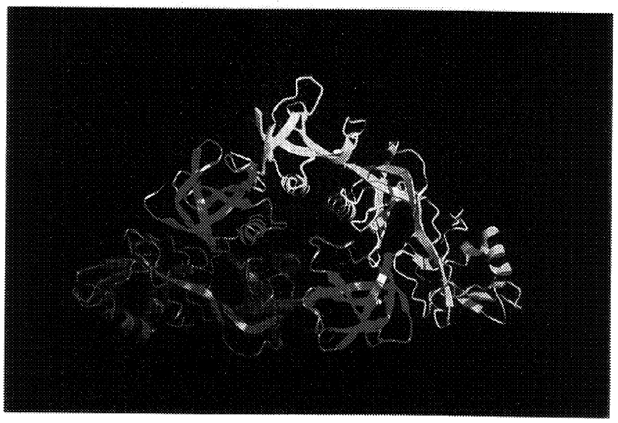 Modification of pertussis toxin