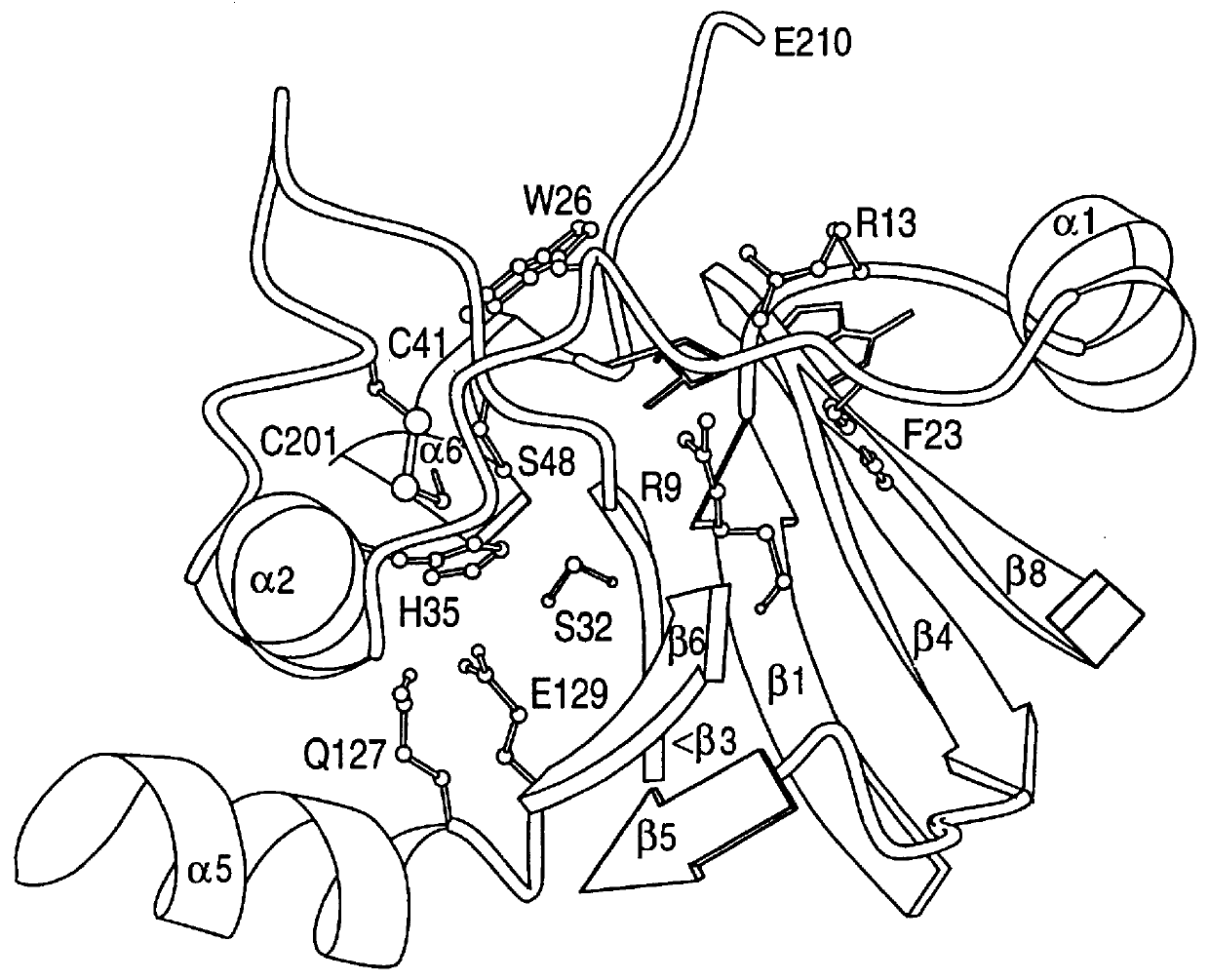 Modification of pertussis toxin