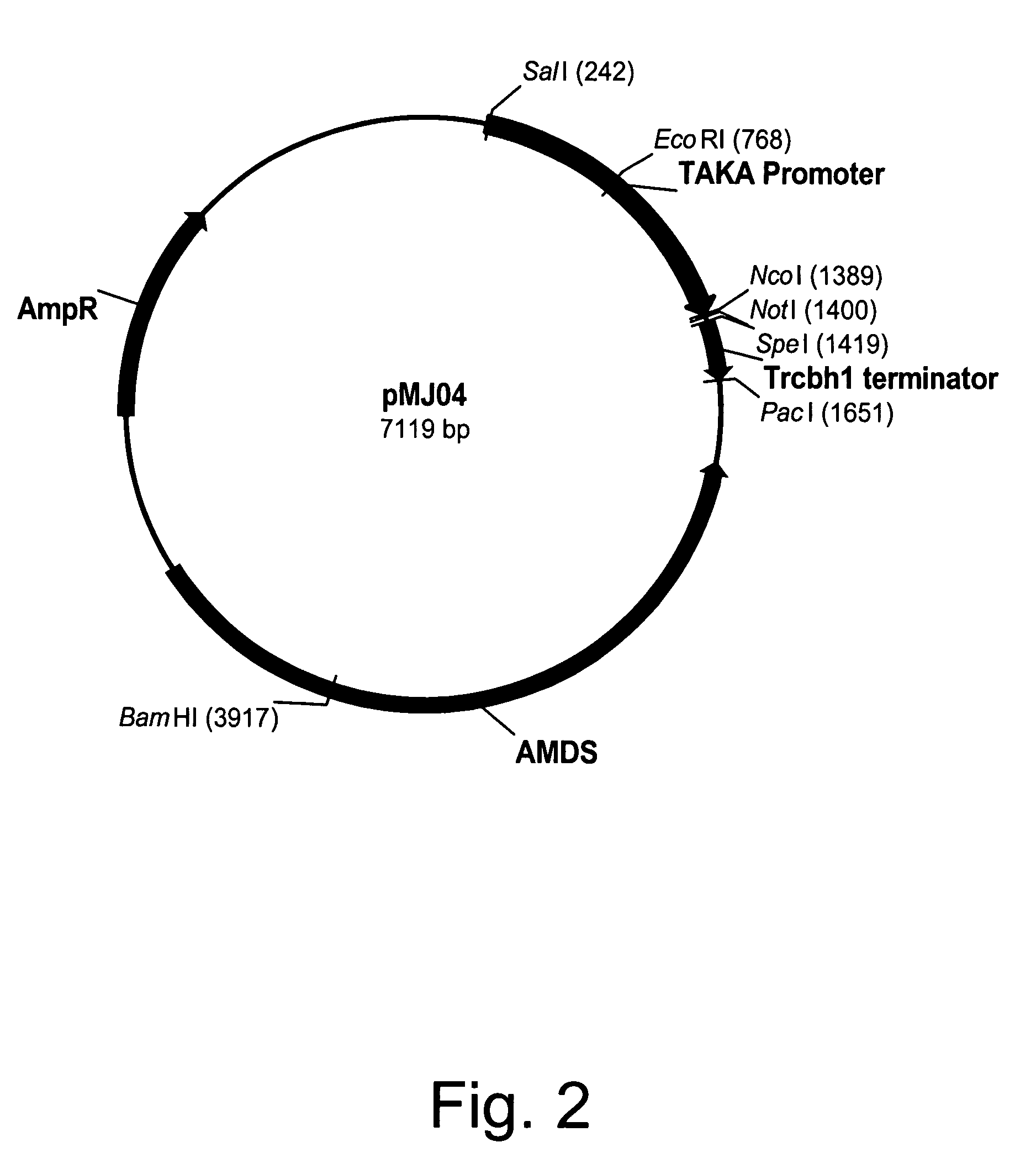 Methods for degrading or converting plant cell wall polysaccharides