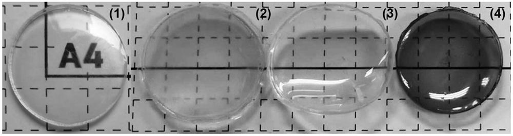 Egg white water gel membrane/composite membrane based on unidirectional nanopore dehydration and preparation method thereof