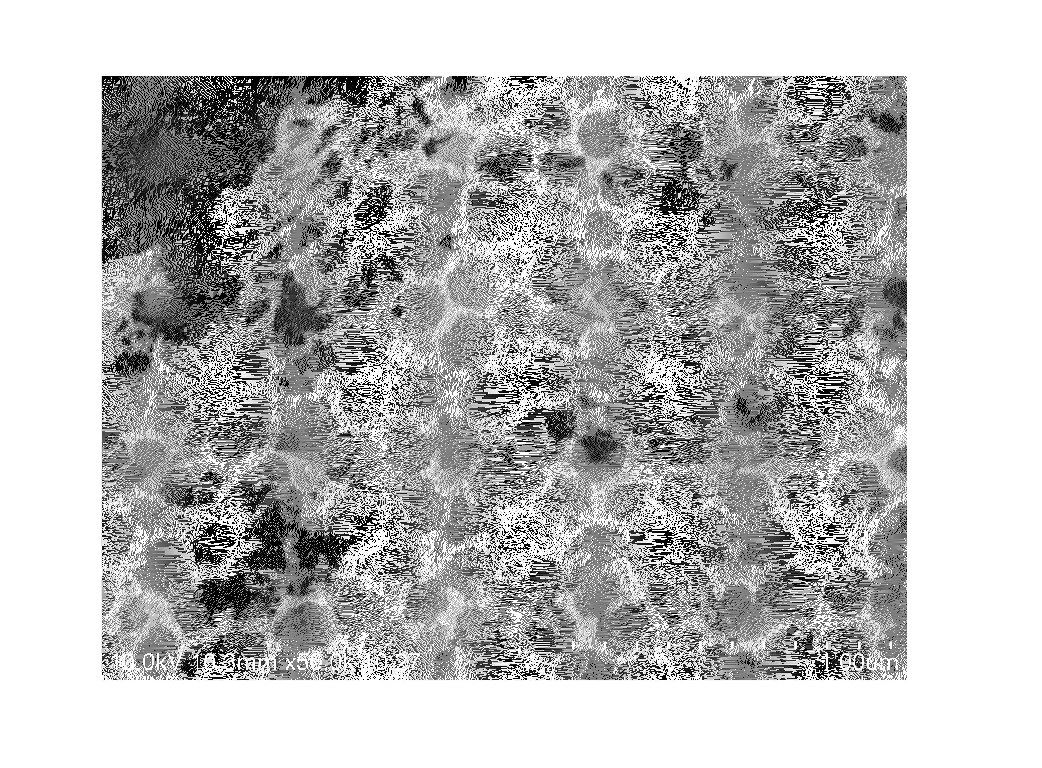 Methods of making platinum and platinum alloy catalysts with nanonetwork structures