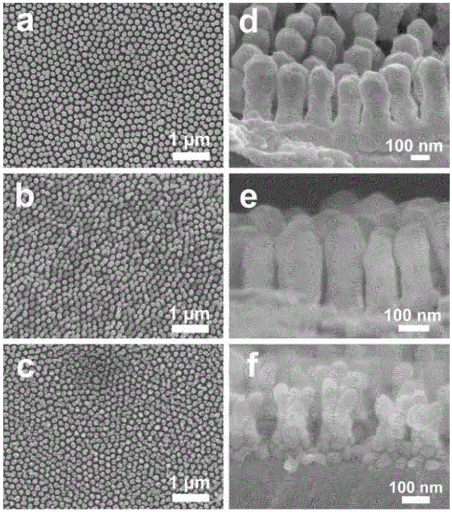 Novel biomimetic surface-enhanced Raman spectroscopy substrate and its preparation method