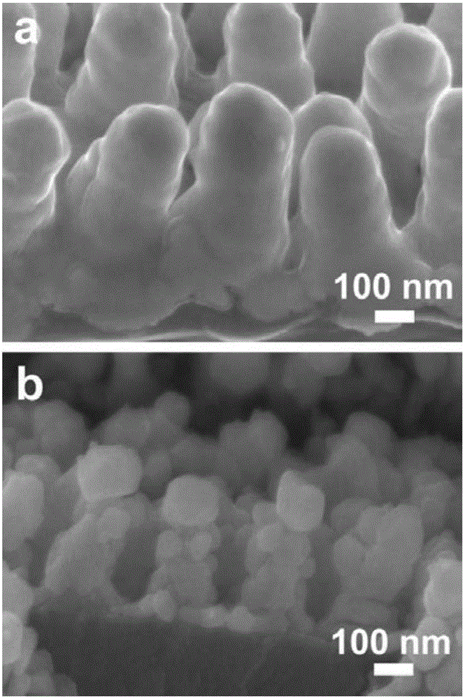 Novel biomimetic surface-enhanced Raman spectroscopy substrate and its preparation method