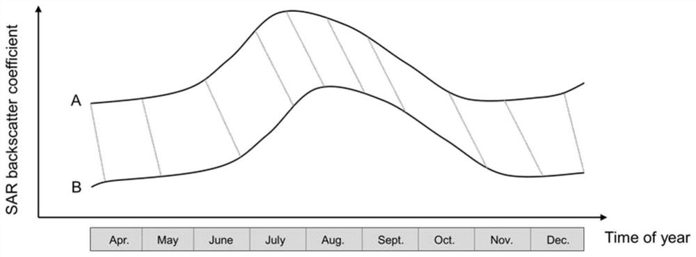 Weak supervision LSTM recurrent neural network rice field identification method based on time sequence remote sensing data