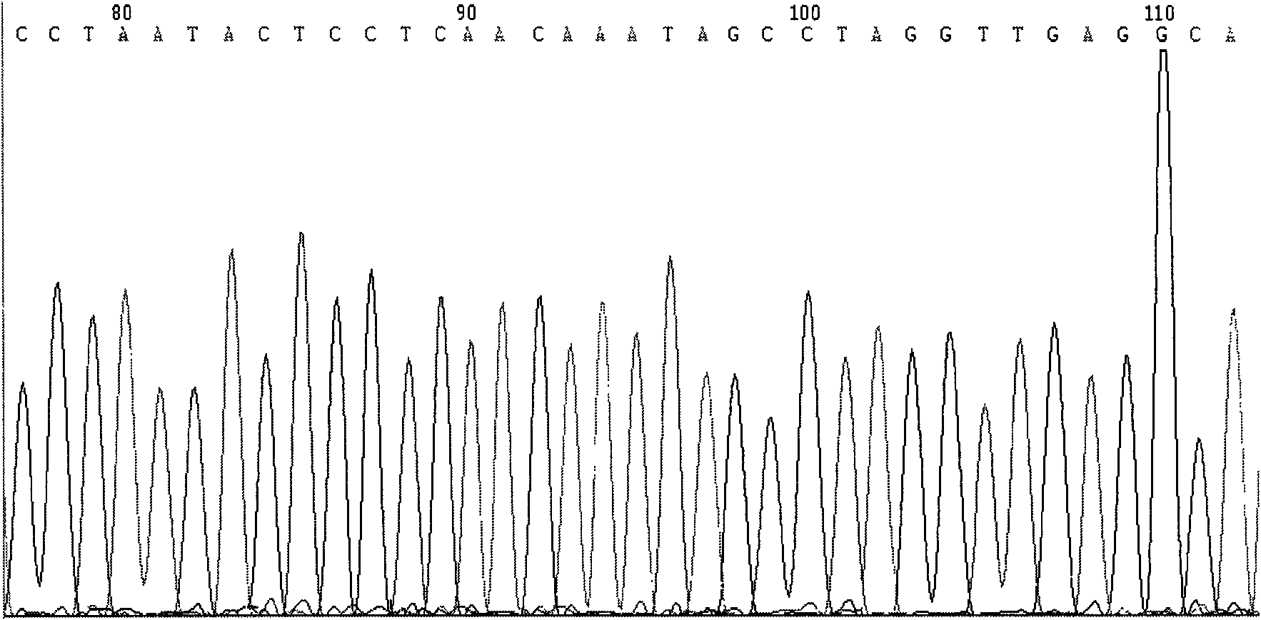 Method for detecting hypertension susceptible gene and detection kit