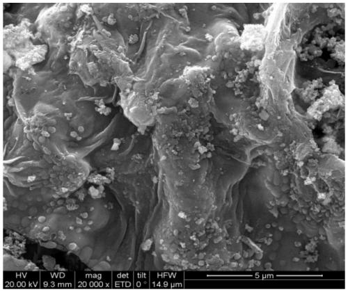 Preparation method and application of load type manganese ferrite adsorbing agent