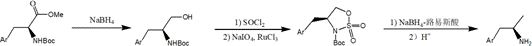 A kind of preparation method of chiral α-methyl arylethylamine