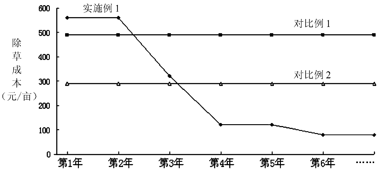 Weeding and weed control method in planting production process of traditional Chinese medicinal material astragalus membranaceus