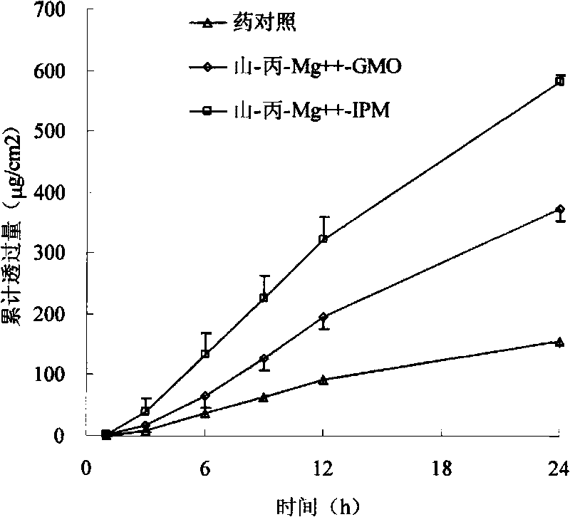 Granisetron and/or hydrochloride patch thereof