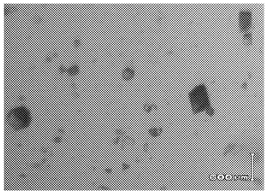 1:1 adducts of sickle hemoglobin