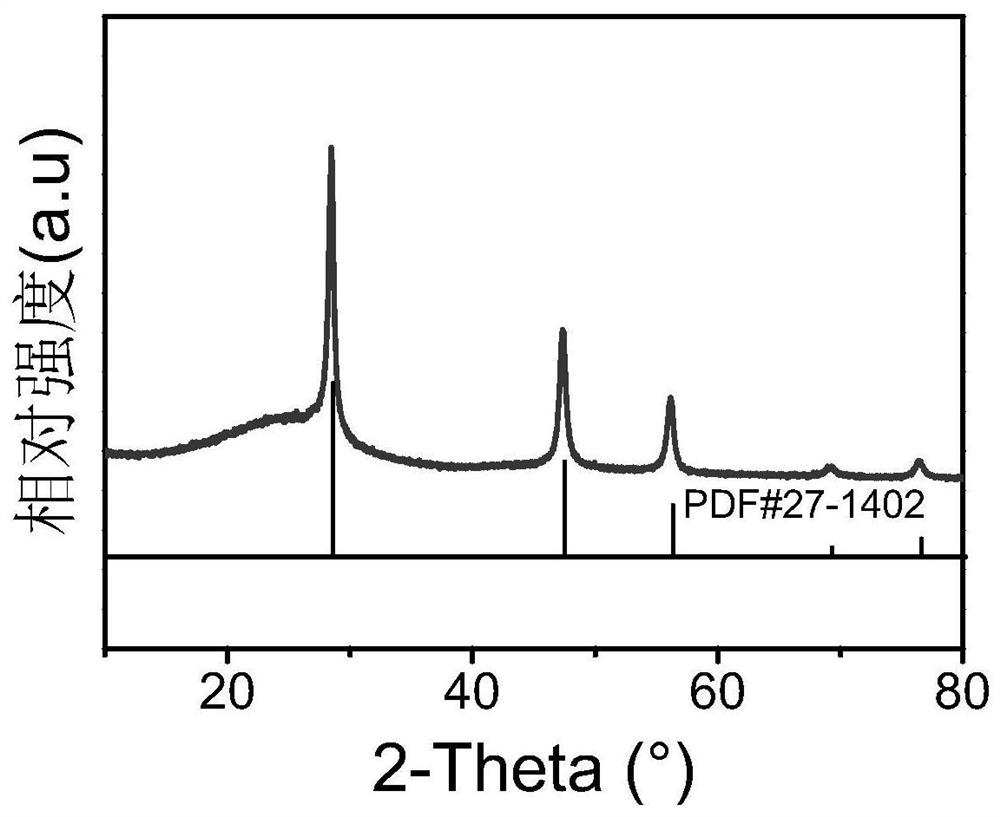 Nitrogen-doped carbon/nano-silicon composite negative electrode material and preparation method thereof