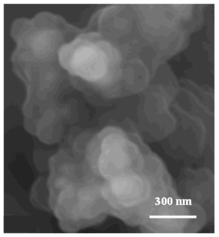 Nitrogen-doped carbon/nano-silicon composite negative electrode material and preparation method thereof