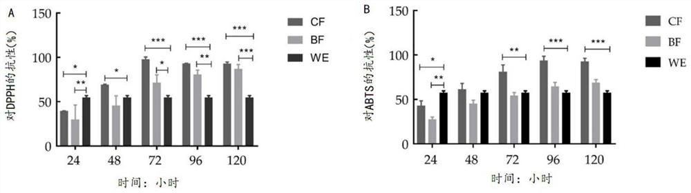 Lactobacillus fermentum and application of product of lactobacillus fermentum in oxidation resistance and tumor resistance