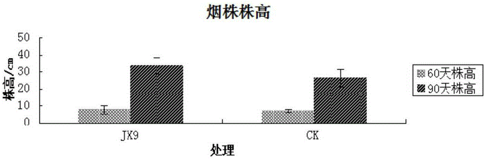 Bacillus safensis and application thereof