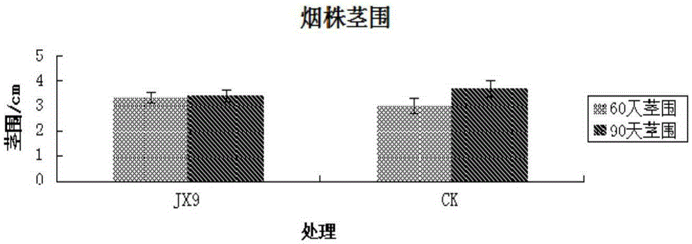 Bacillus safensis and application thereof