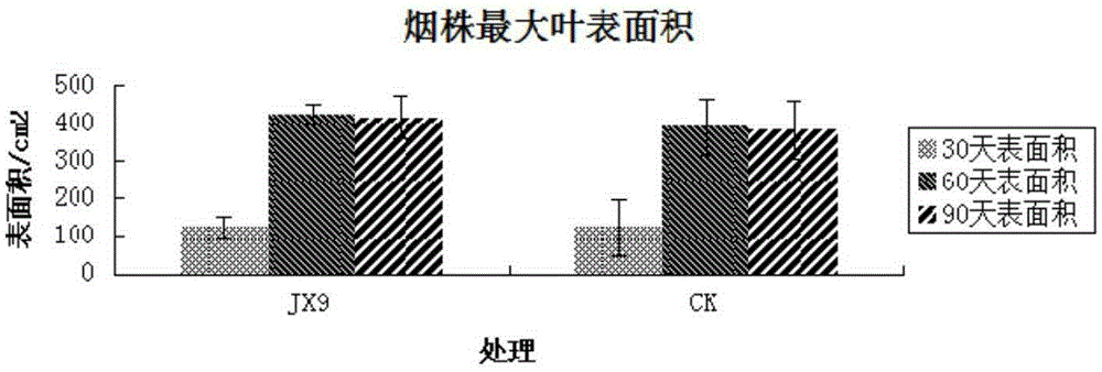 Bacillus safensis and application thereof