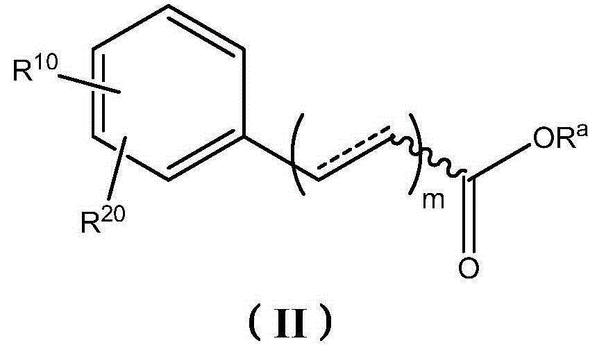 Therapeutic compositions comprising extracts of propolis and uses thereof