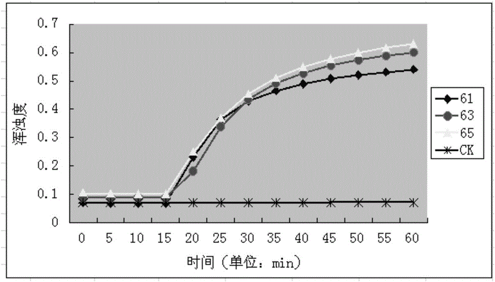 RT-LAMP (reverse transcription-loop-mediated isothermal amplification) primers and kit for detecting pepper veinal mottle virus