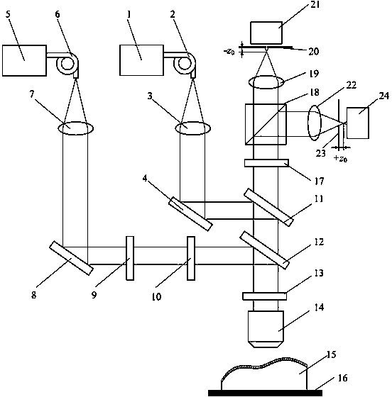 Device and method for measuring smooth free-form surface sample based on differential STED