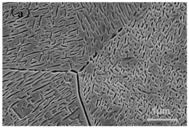 Heat treatment method for regulating and controlling microstructure and microhardness of near-beta titanium alloy