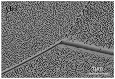 Heat treatment method for regulating and controlling microstructure and microhardness of near-beta titanium alloy