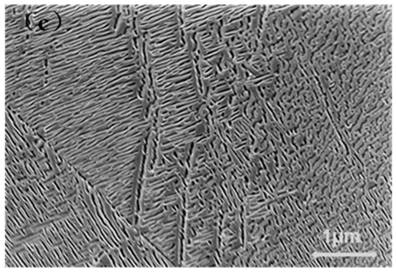 Heat treatment method for regulating and controlling microstructure and microhardness of near-beta titanium alloy