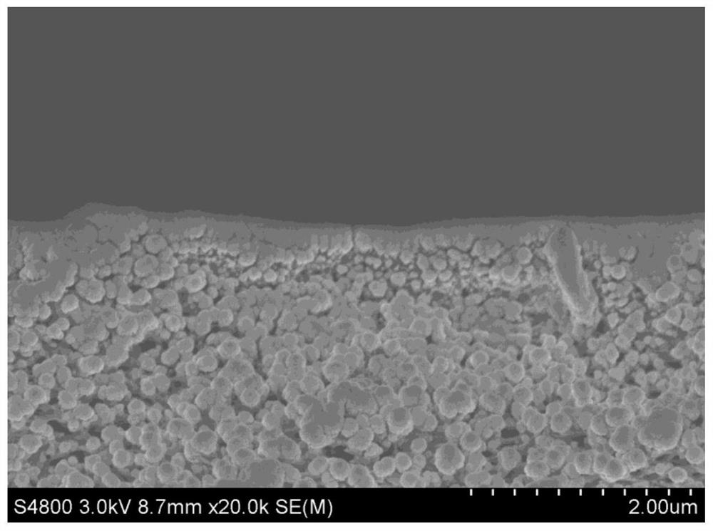 A high-throughput positively charged nanofiltration membrane and preparation method thereof