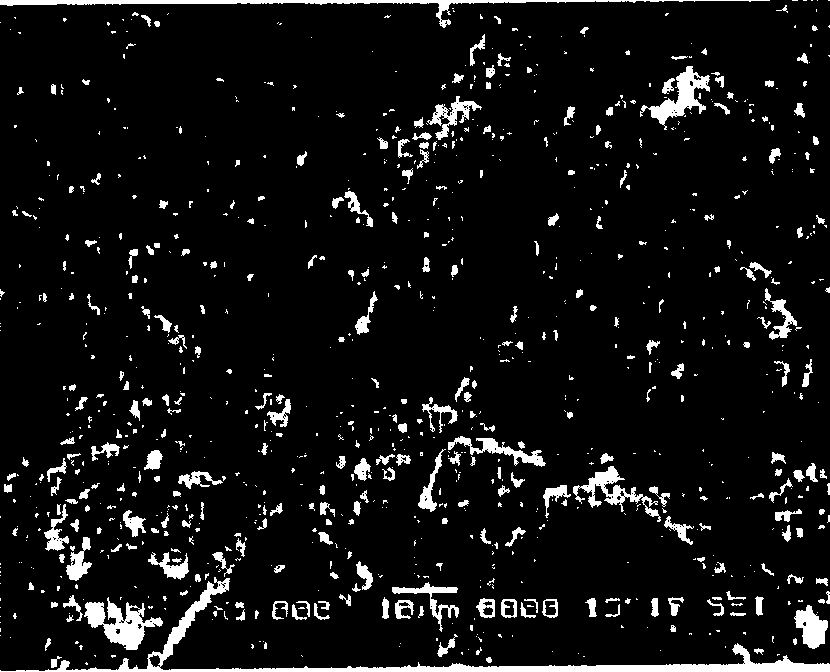 Low infrared emittance sheet-like pigment and method for preparing same