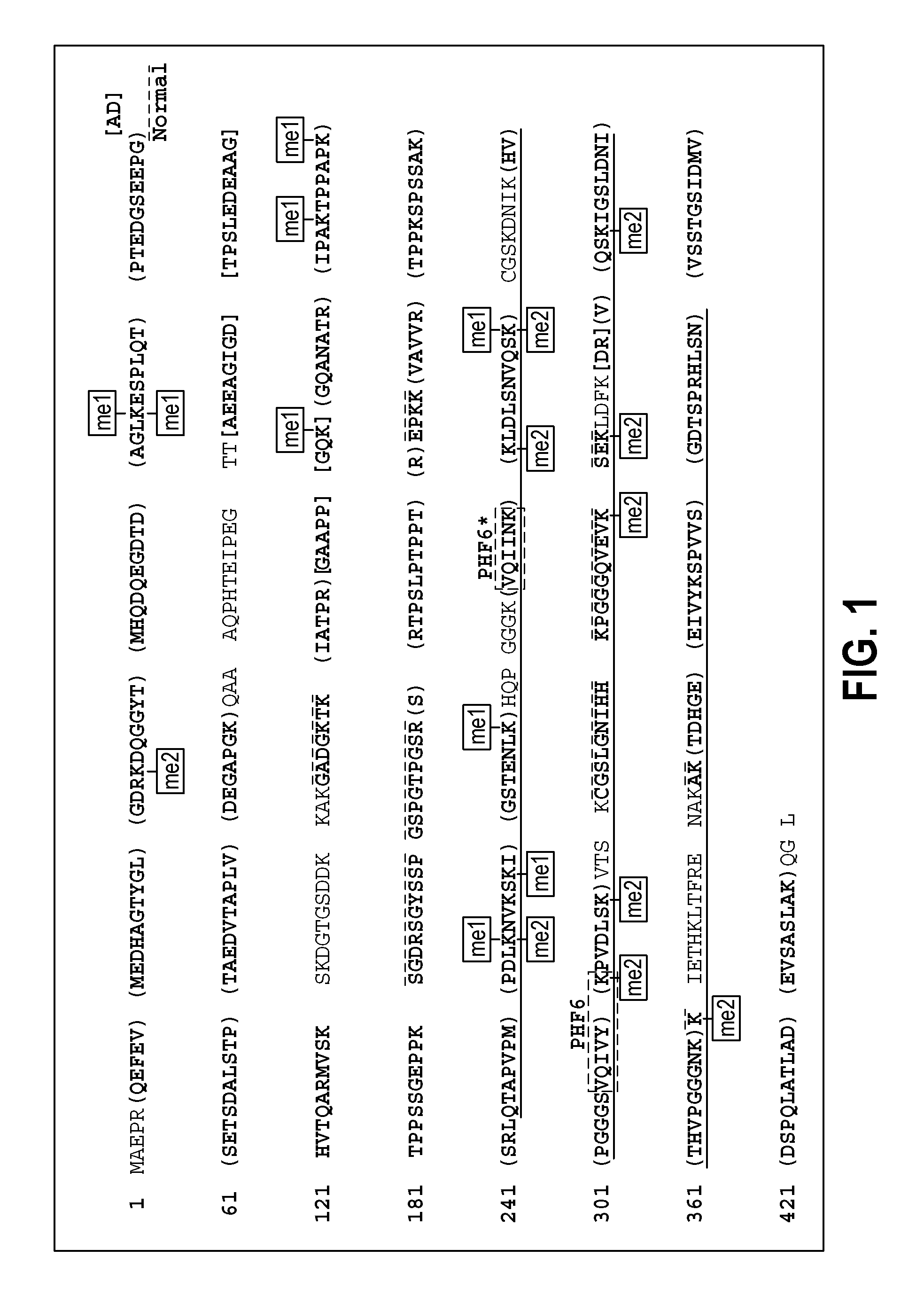 Methylated Peptides Derived from Tau Protein and Their Antibodies for Diagnosis and Therapy of Alzheimer's Disease