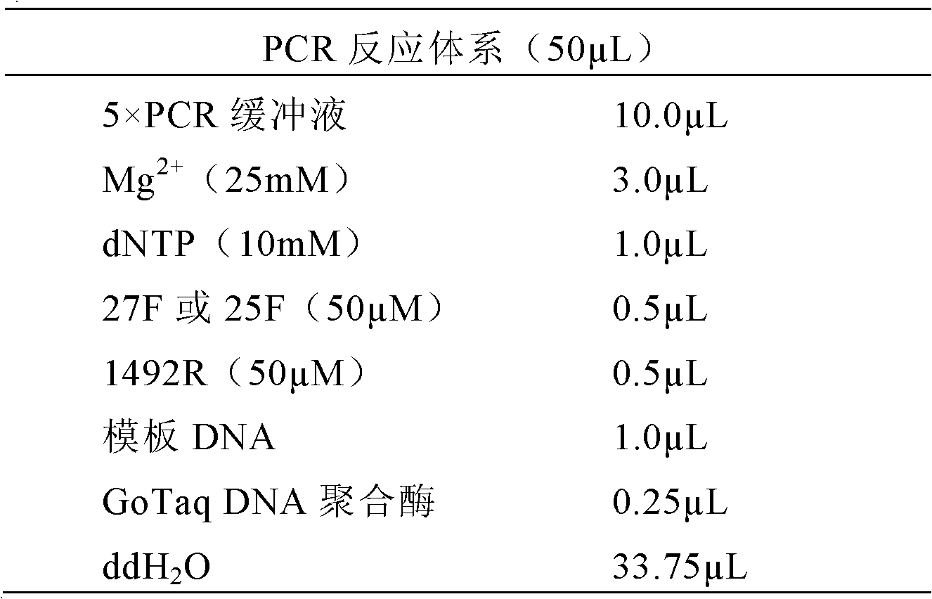 Intermediate-temperature mineral leaching composite microbial system for leaching copper pyrites