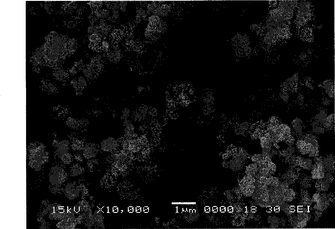 Process for producing lithium ion battery negative pole material of lithium titanate