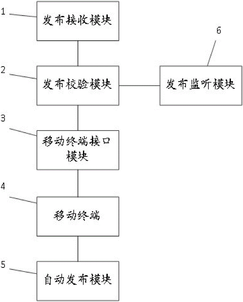 Software issuing system, method and system