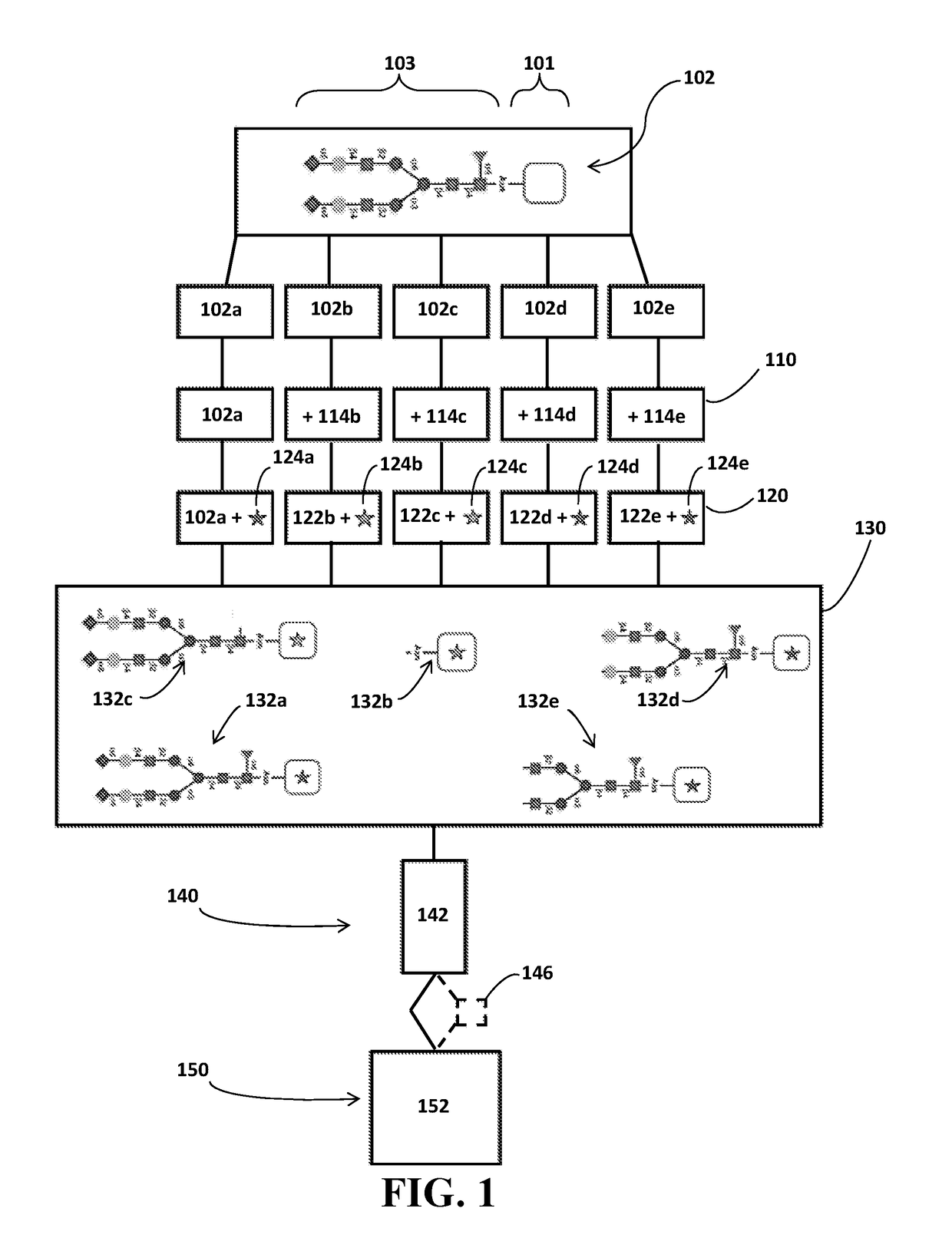 Identification of Glycosylation Forms