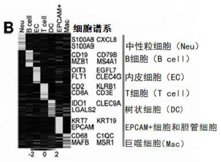 Marker group for evaluating non-alcoholic steatohepatitis