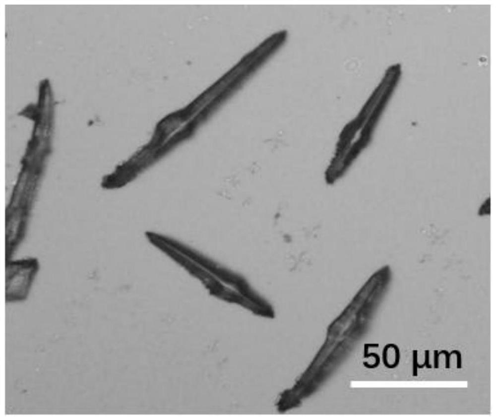 Zero-dimensional perovskite Cs4PbBr6 micro-crystal capable of regulating and controlling laser performance and preparation method thereof