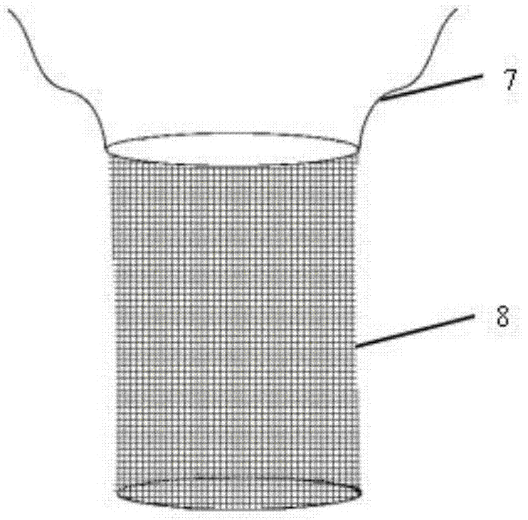 A device and method for artificially feeding Hirudo phenanthae