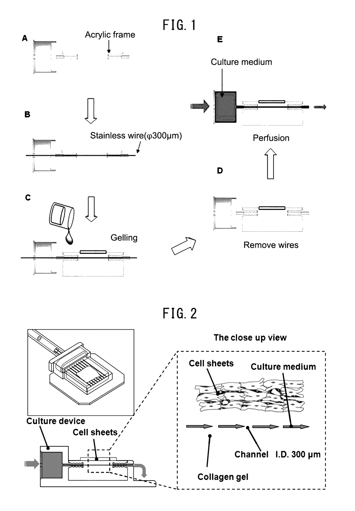 Method for manufacturing multilayered cell sheet, multilayered cell sheet having vascular network obtained thereby, and method of use thereof